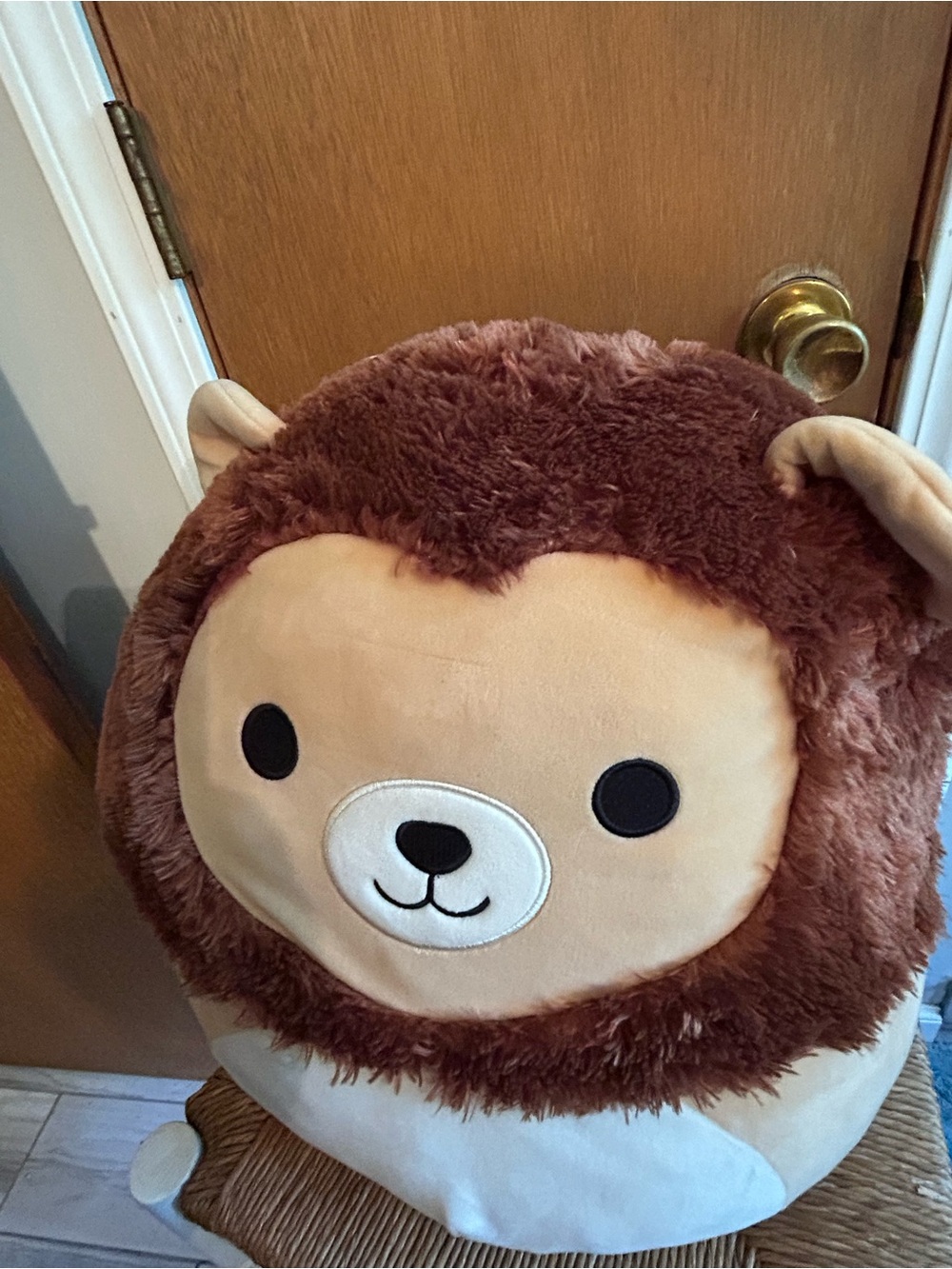 Francis the lion
